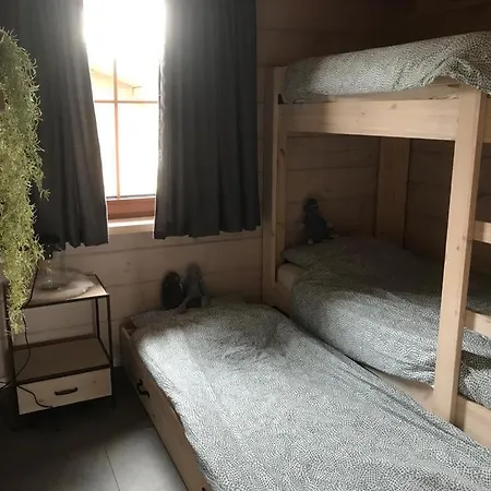 Dağ evi Momage Dichtbij Skiliften, Skiverhuur En Bikepark! Winterberg