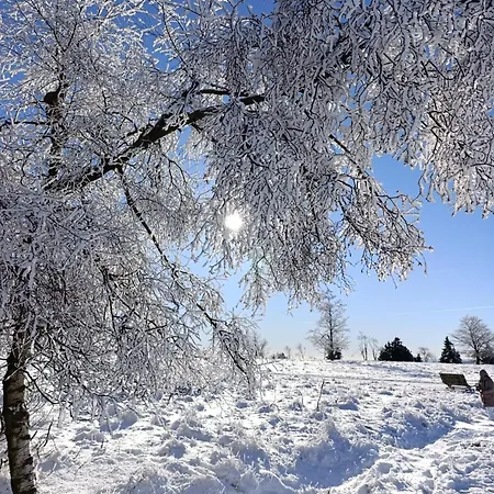 Momage Dichtbij Skiliften, Skiverhuur En Bikepark! Winterberg