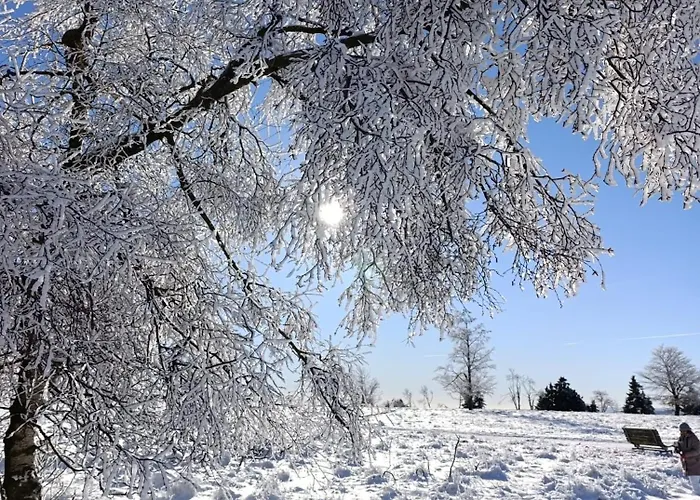 Momage Dichtbij Skiliften, Skiverhuur En Bikepark! 温特贝格