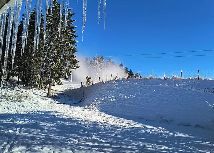 Momage Dichtbij Skiliften, Skiverhuur En Bikepark! * Winterberg
